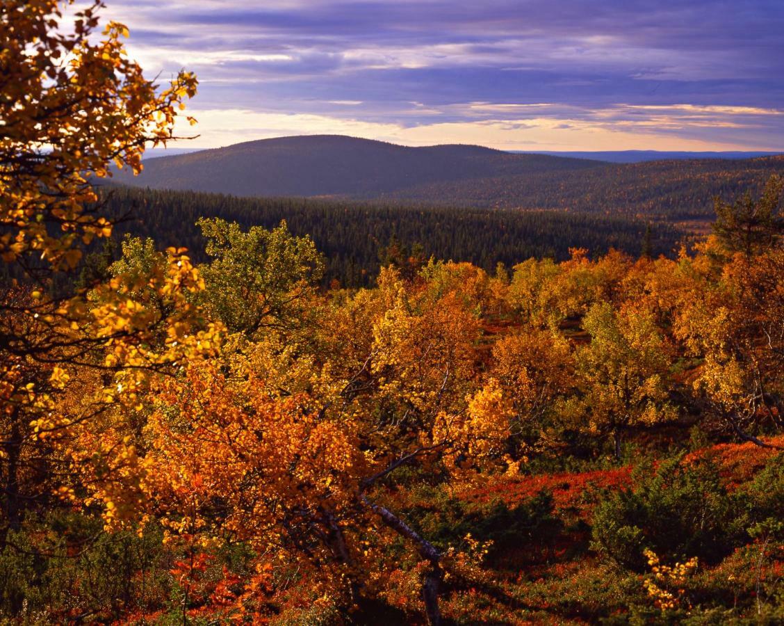 Äkäslompolo Lapland Hotels Yllaeskaltio מראה חיצוני תמונה